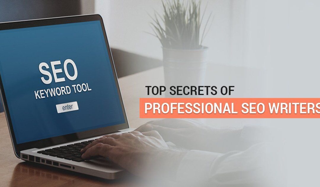 top secrets of professional seo writers
