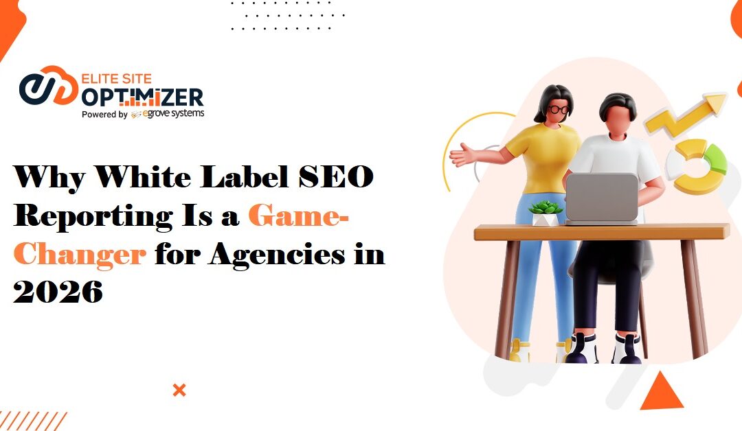 Why White Label SEO Reporting Is a Game Changer for Agencies in 2026